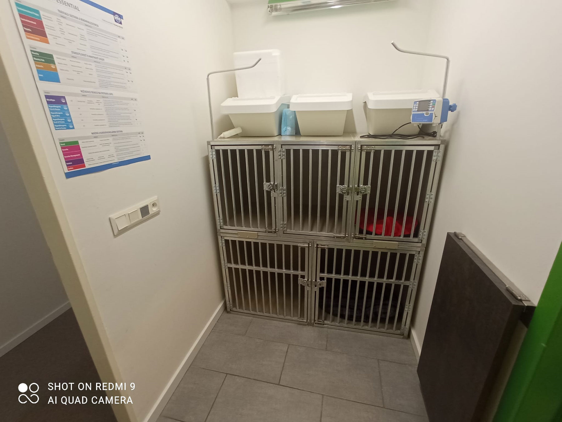 Veterinárna hospitalizácia a starostlivosť o pacienta
