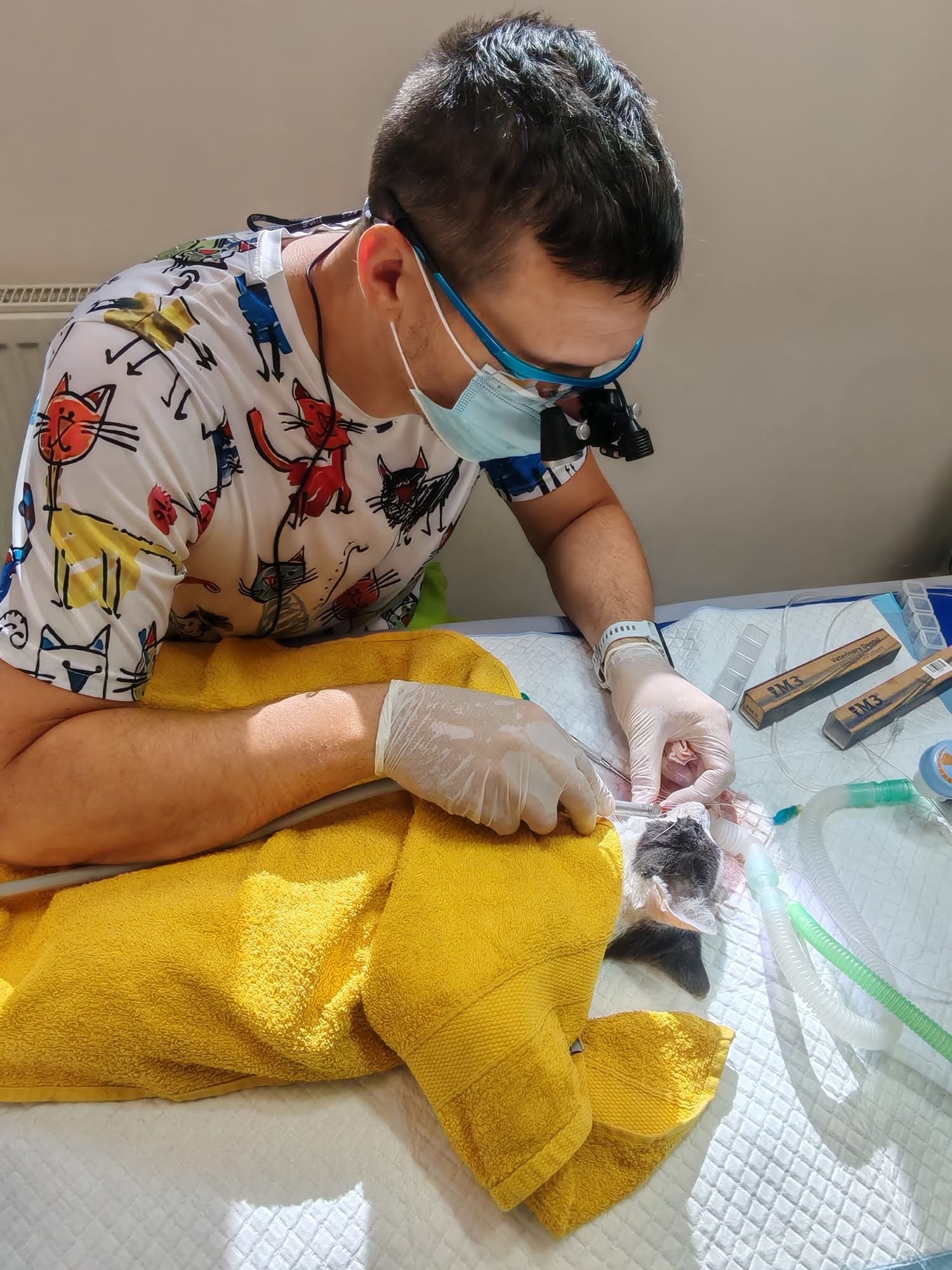 Stomatologické ošetrenie veterinárneho pacienta